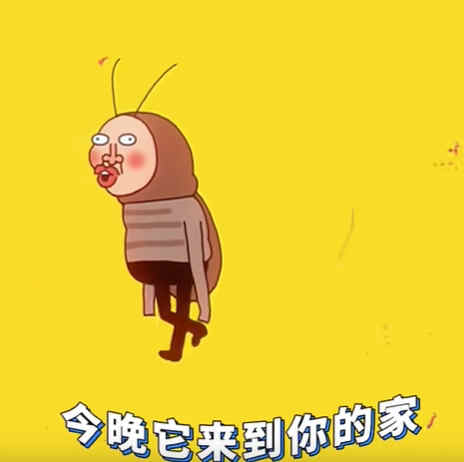 纯情蟑螂火辣辣歌曲梗