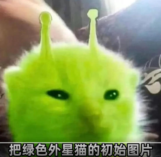 外星猫表情.jpg